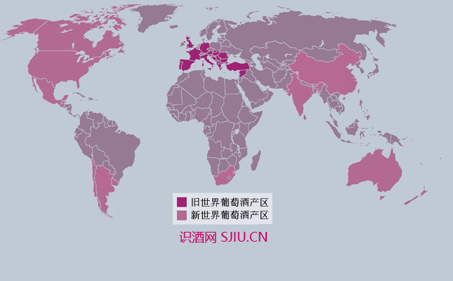 寧夏葡萄及葡萄酒特色產(chǎn)業(yè)集群15個(gè)項(xiàng)目成功驗(yàn)收 寧夏葡萄及葡萄酒特色產(chǎn)業(yè)集群15個(gè)項(xiàng)目成功驗(yàn)收