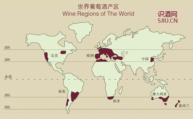 進口紅酒一手貨源 進口紅酒一手貨源