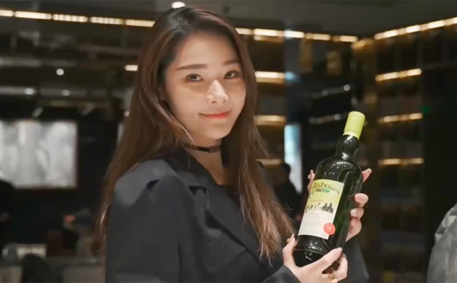 進(jìn)口紅酒一手貨源 進(jìn)口紅酒一手貨源