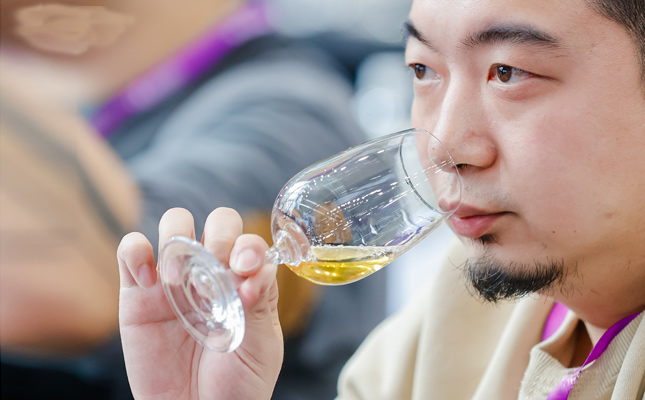 進(jìn)口紅酒一手貨源 進(jìn)口紅酒一手貨源