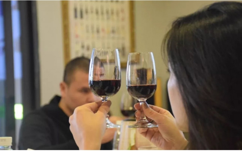 法國波爾多葡萄酒學(xué)校紅酒品鑒培訓(xùn)會(huì)